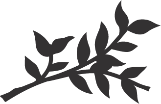 branch and vine logo