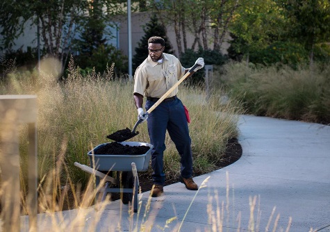 Man wearing Carhartt landscaping